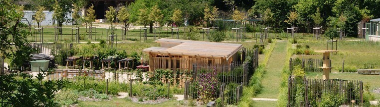 jardin potager