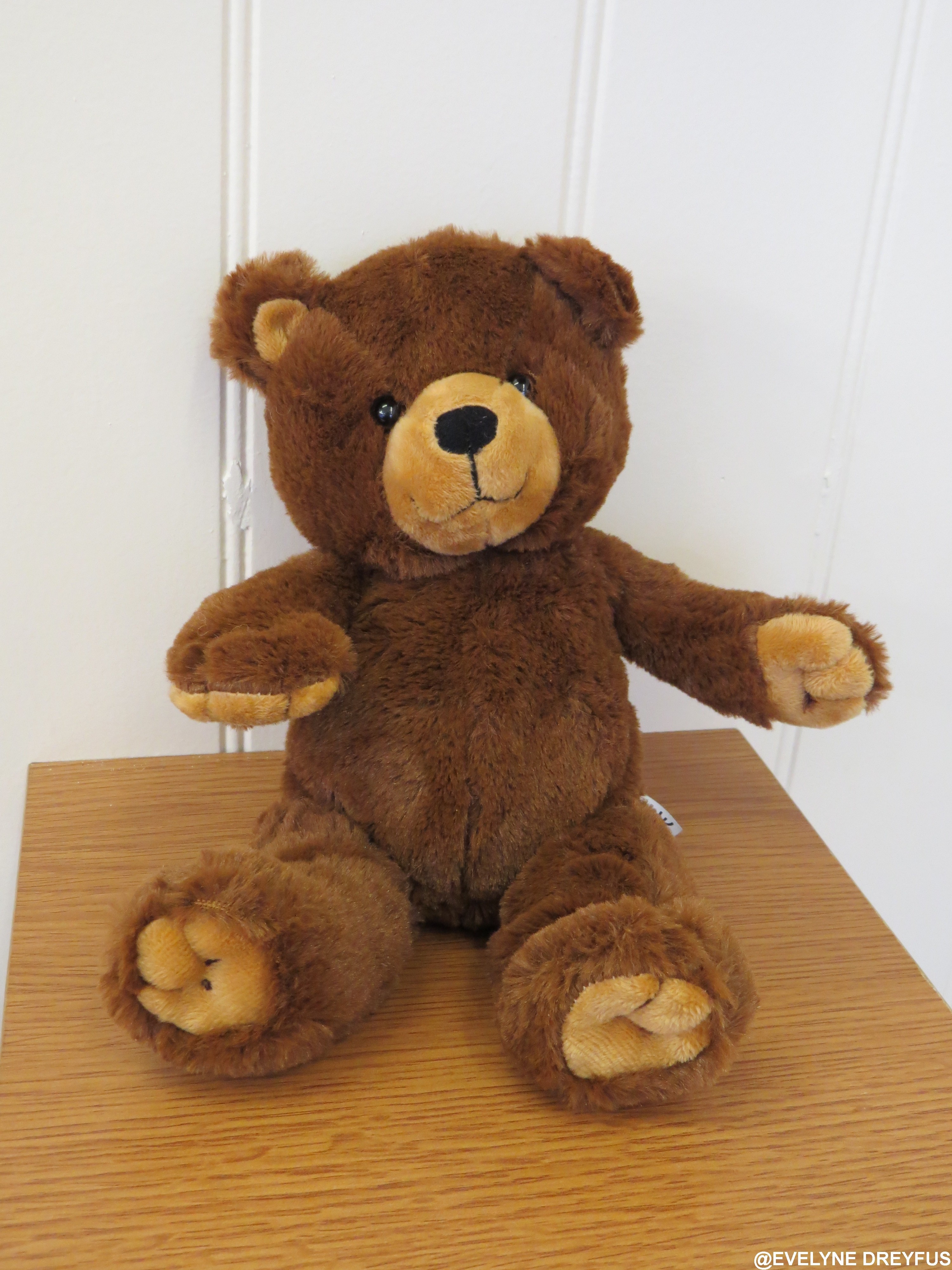 Nounours a personnaliser shop