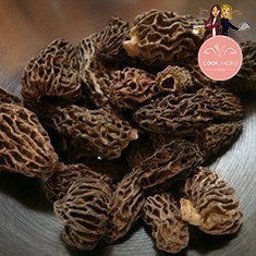 morilles