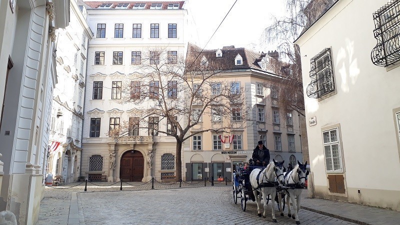 Calèche dans le quartier de la Judenplatz à Vienne, Autriche
