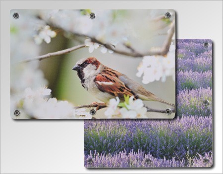 poster_de_jardin