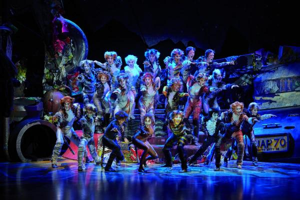 cats_musical_photos