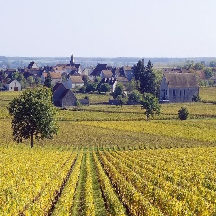 bourgogne vignobles