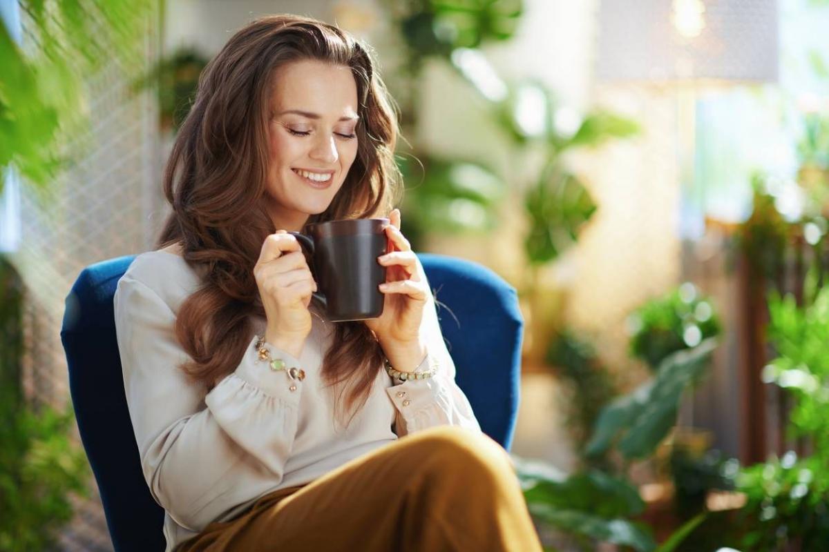 Bienfaits du rooibos, infusions