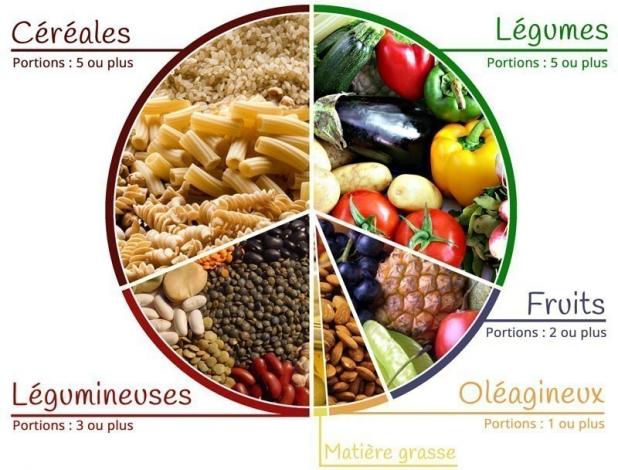 aliments_authorises_veganisme
